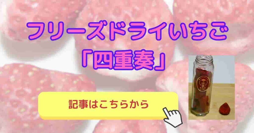 フリーズドライ苺「四重奏」実食レビュー｜希少品種のいちご「よつぼし」使用
